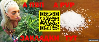 индика Краснодар