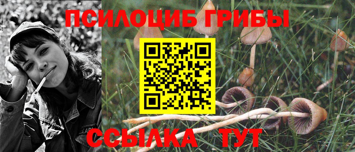 где найти наркотики  Псилоцибиновые грибы Psilocybine cubensis  Вход с VPN  Галлюциногенные грибы прущие грибы  Тюмень 